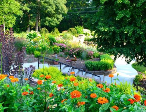 Why So Many Forest Park Locals Skip the City for Our Berwyn Med Spa