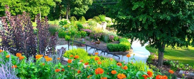 Med Spa Near Forest Park IL