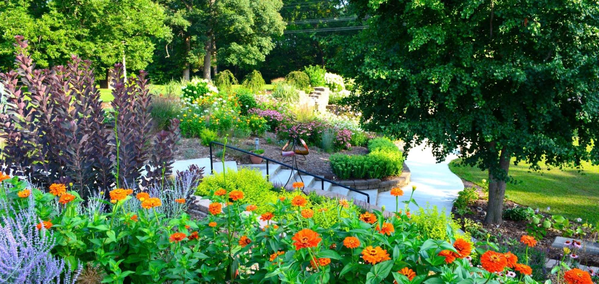 Med Spa Near Forest Park IL